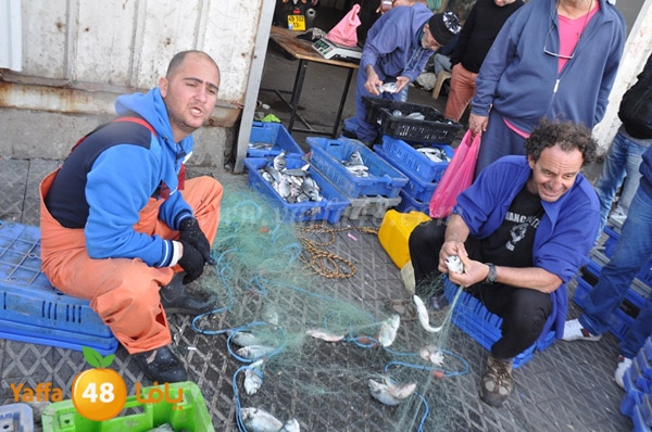 samak denisss (7).JPG